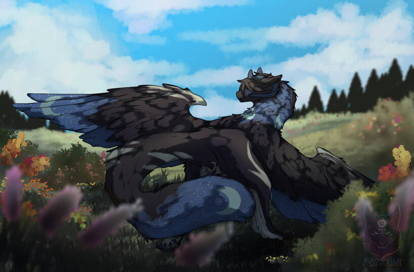 Complex (old art)